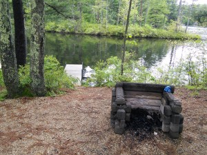 Campsite View