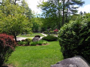 The Wilds