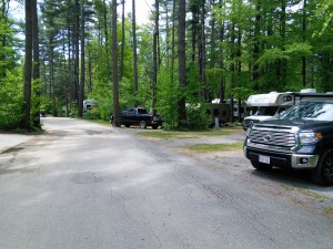 The Neighborhood