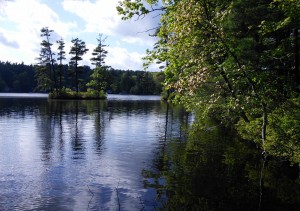 The Lake